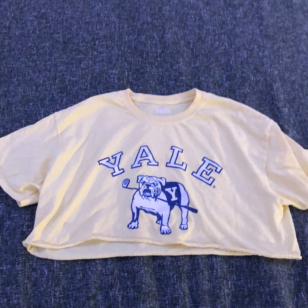 Yellow Yale Crop Top